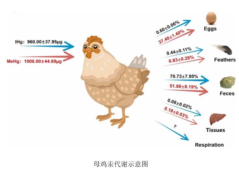 在一定条件下