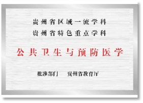 } td.b2_2_{FONT-SI