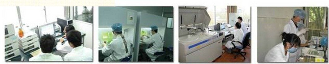 上述社会服务工作的星空官方网站官网规