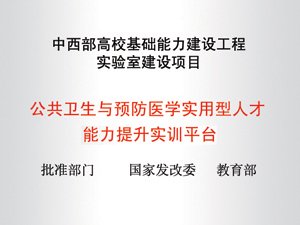 星空online手机版登录